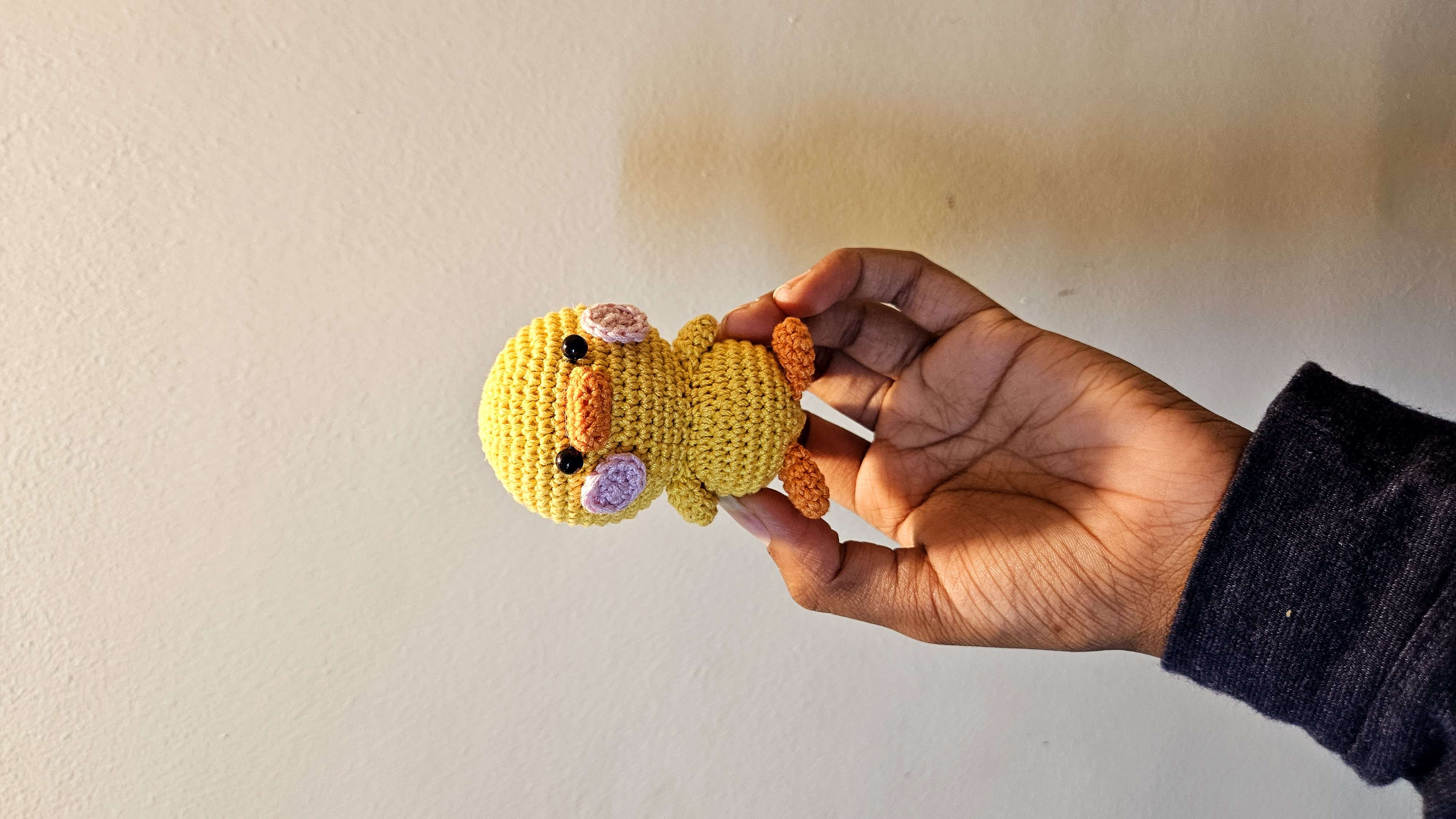 Duck