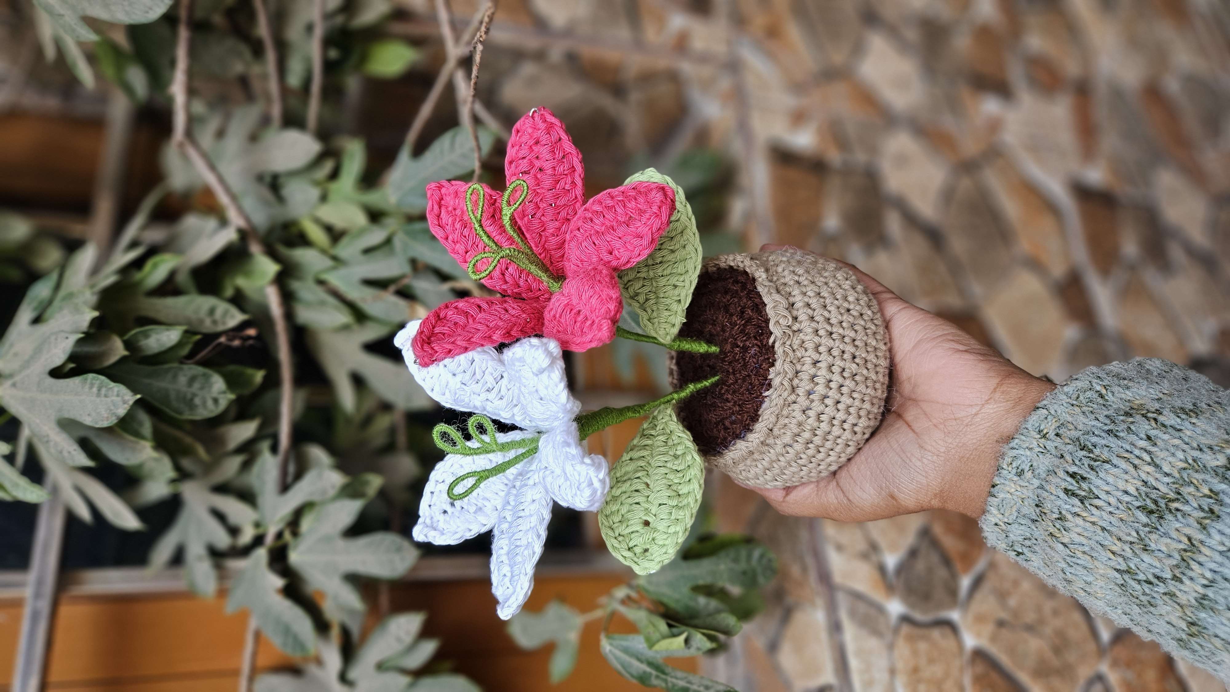 Dual lily pot