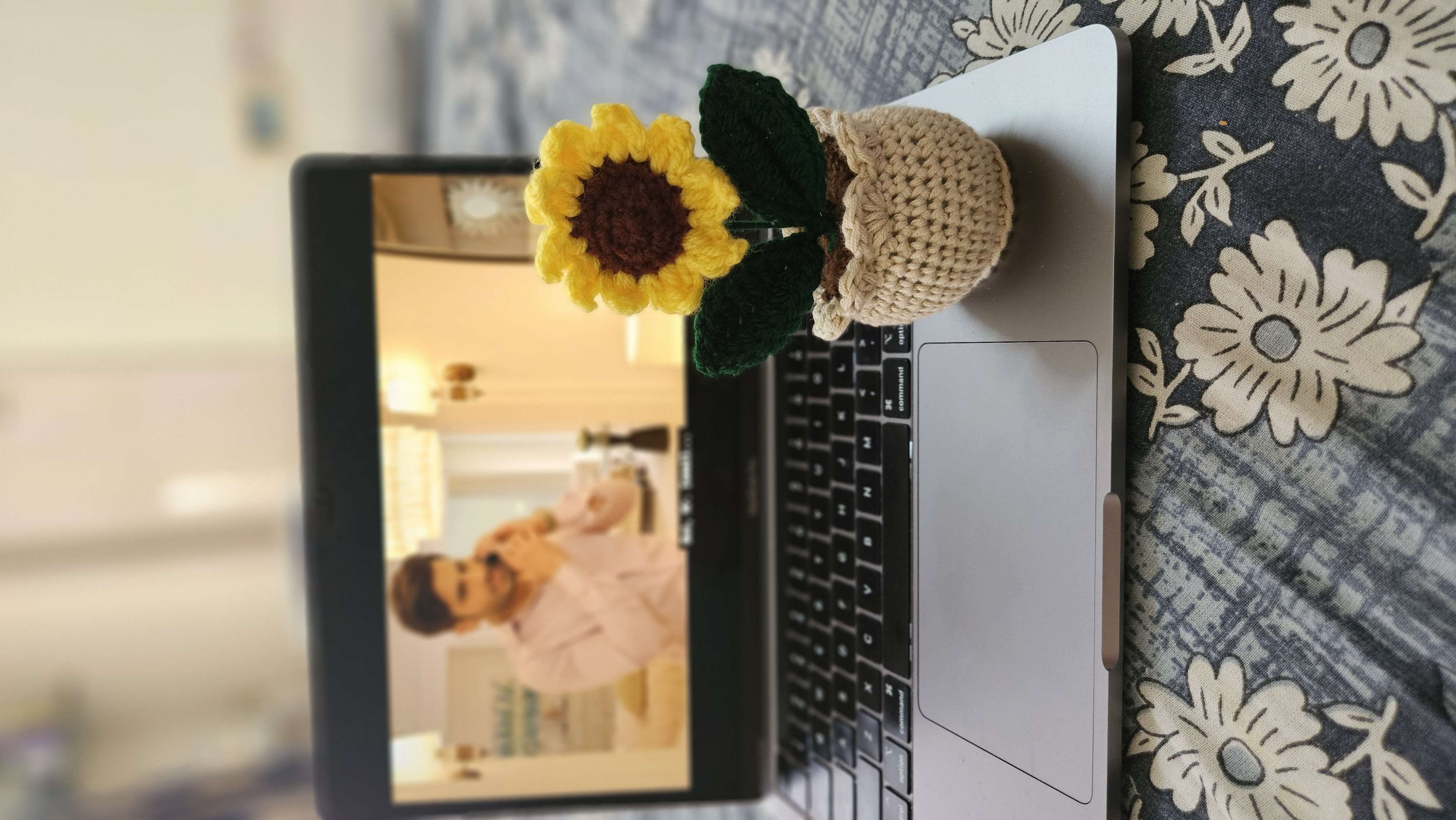 Mini sunflower pot