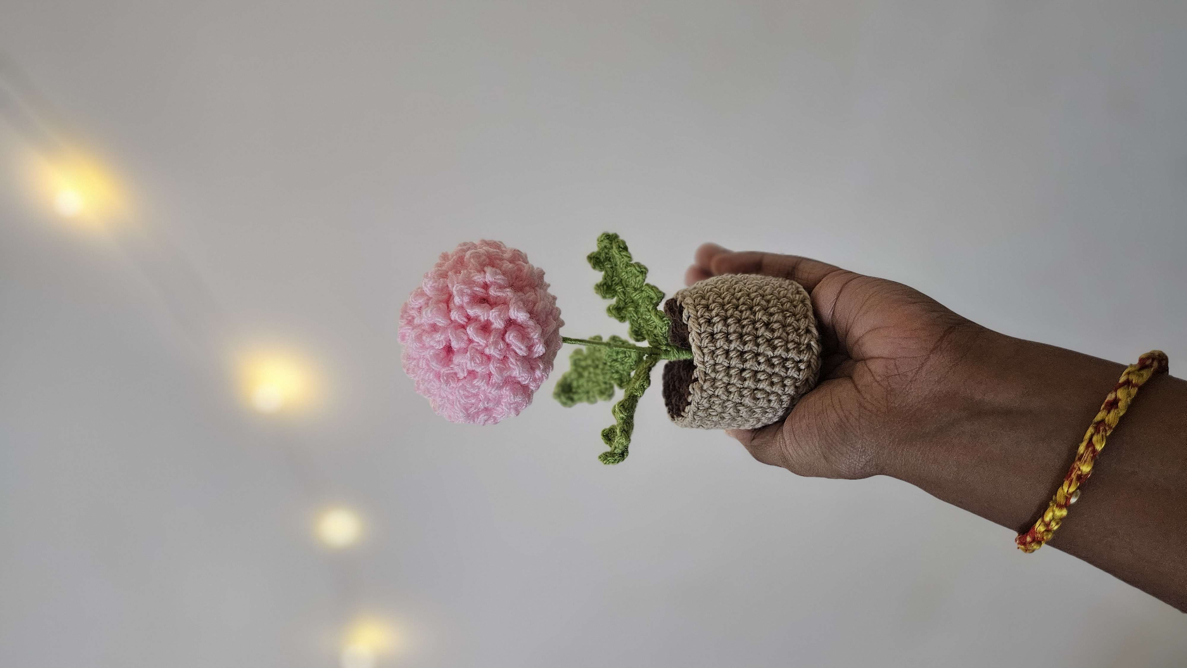 Marigold pot