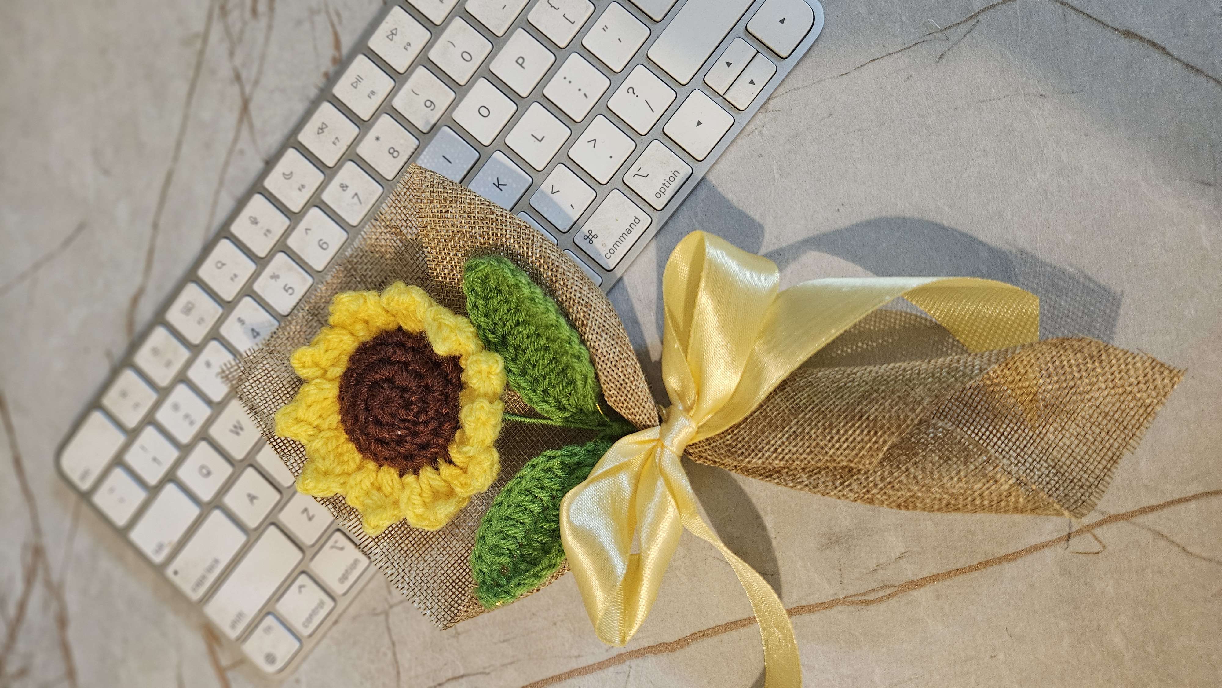 Mini sunflower with leaf