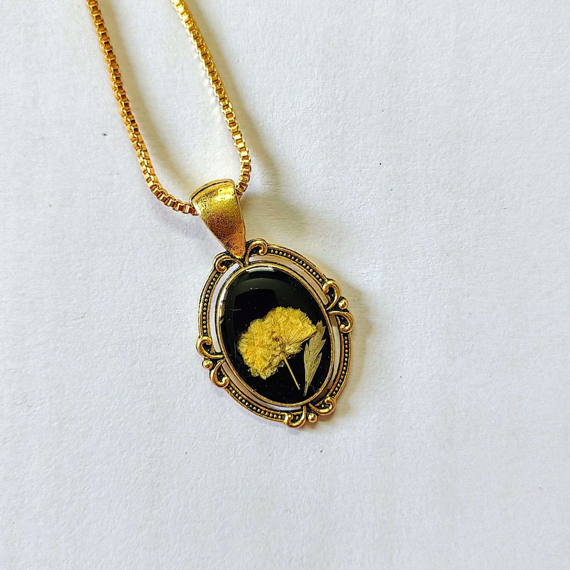 Amoria🌻