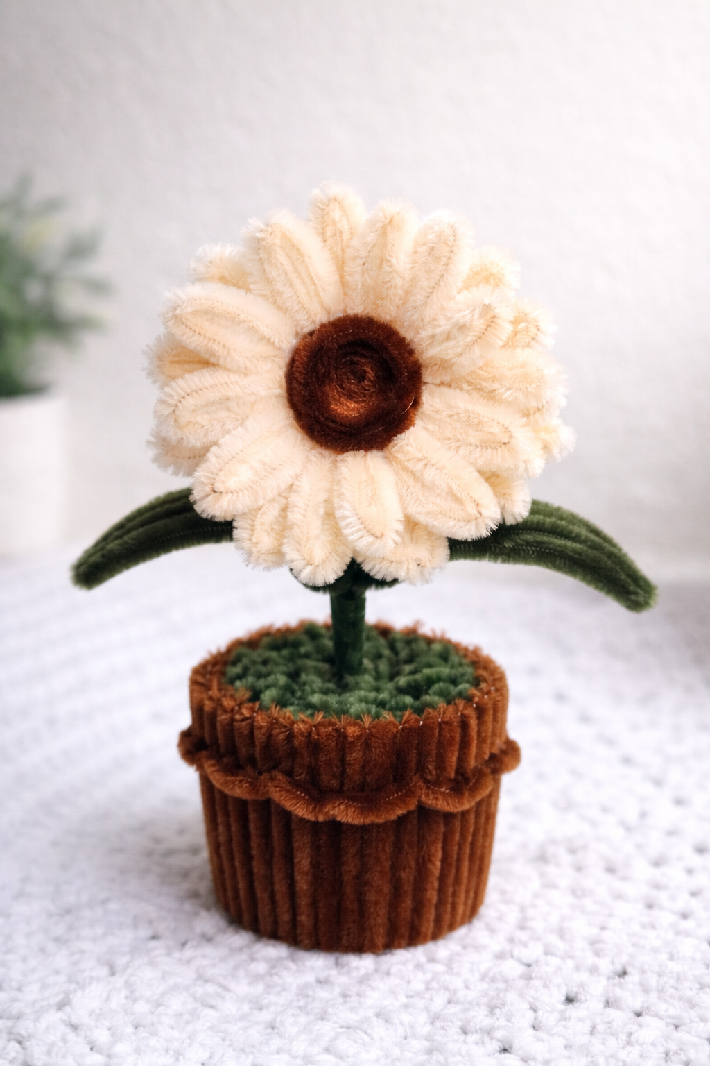 Flower Pot