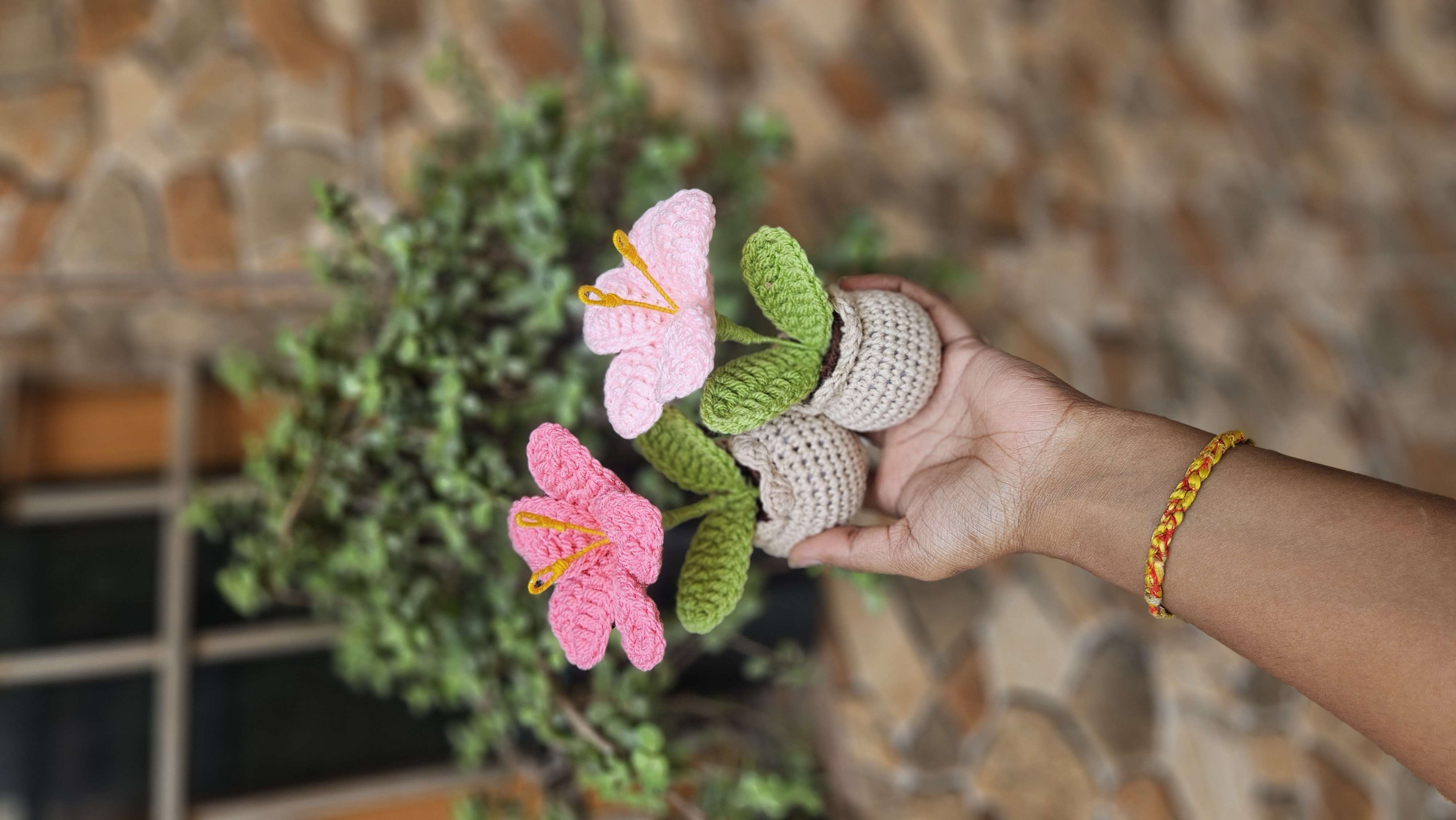 Mini lily pot