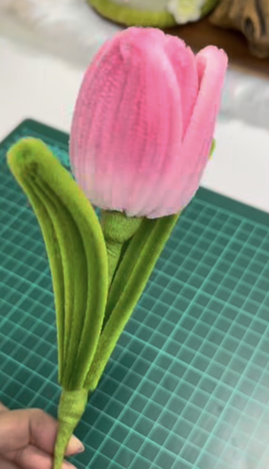 Tulip