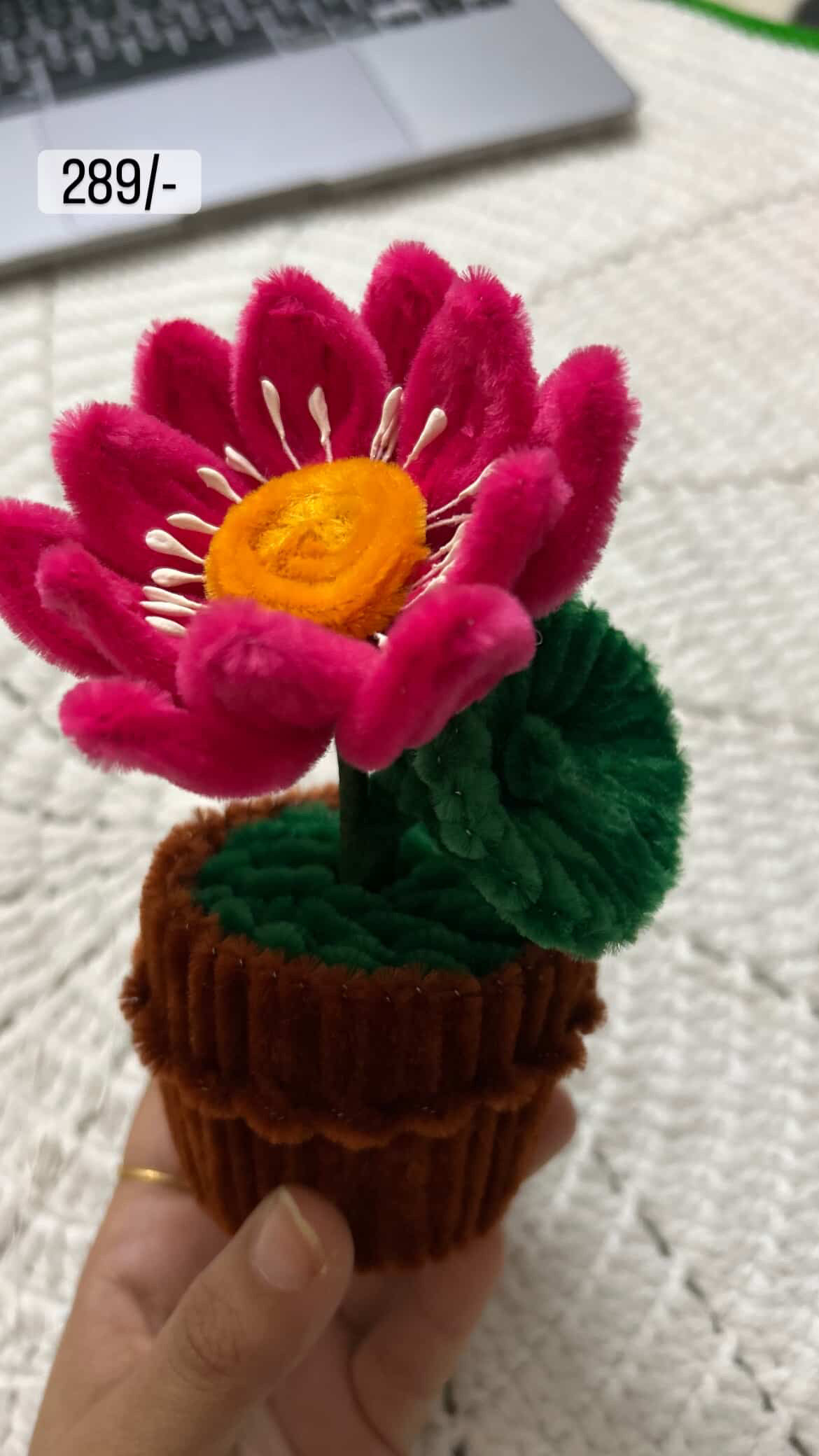 Lotus pot