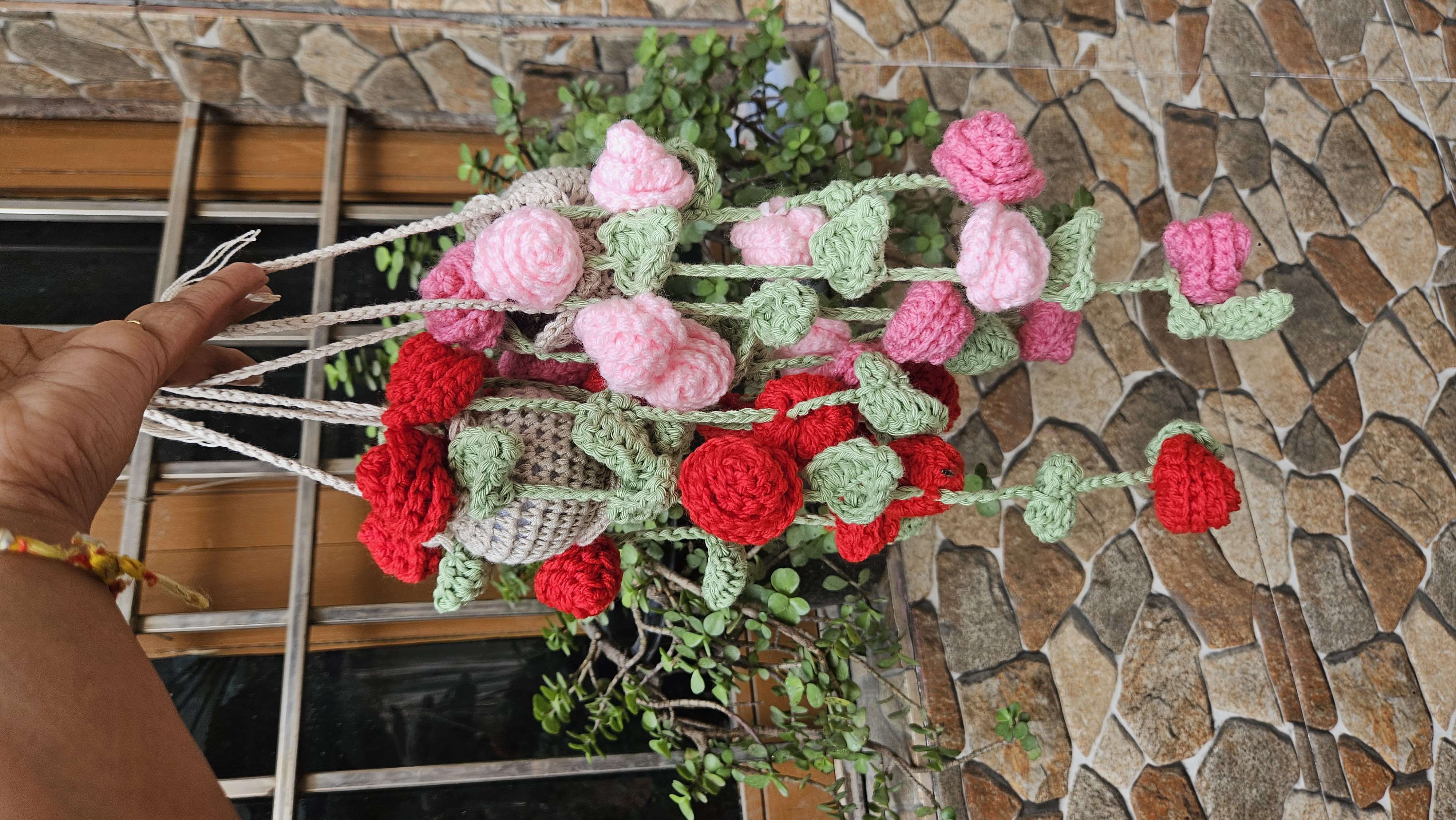 Rose Hanging plant