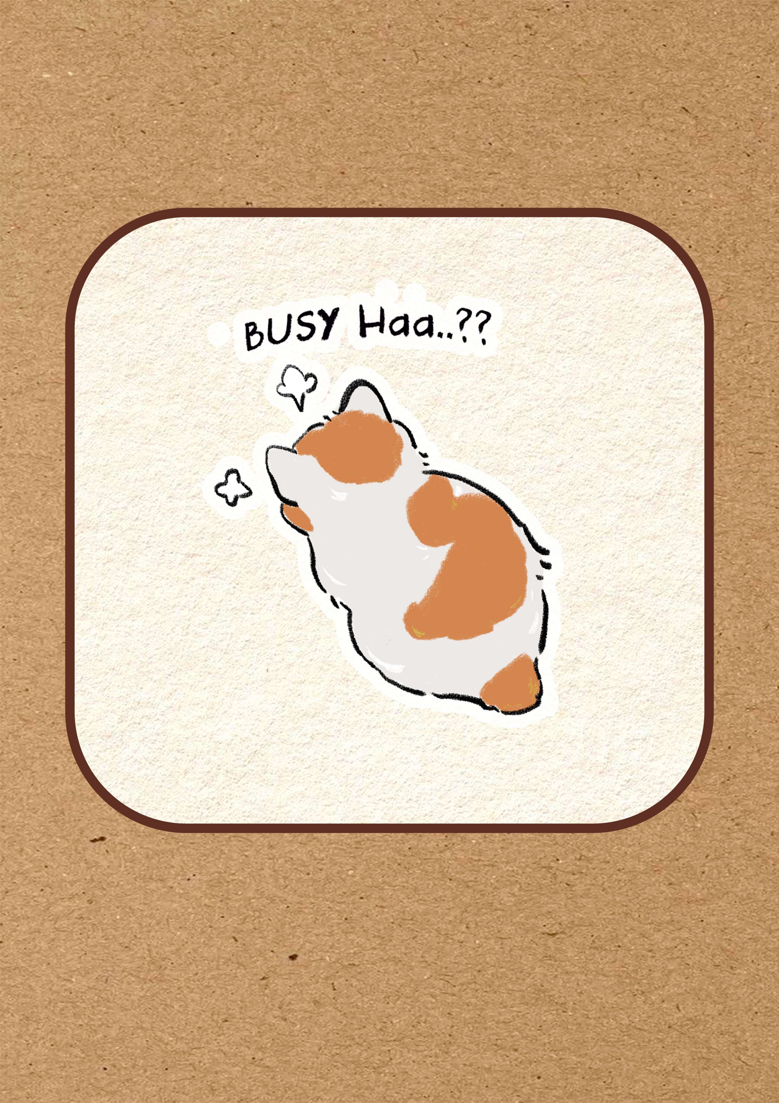 TALK TO THE TAIL