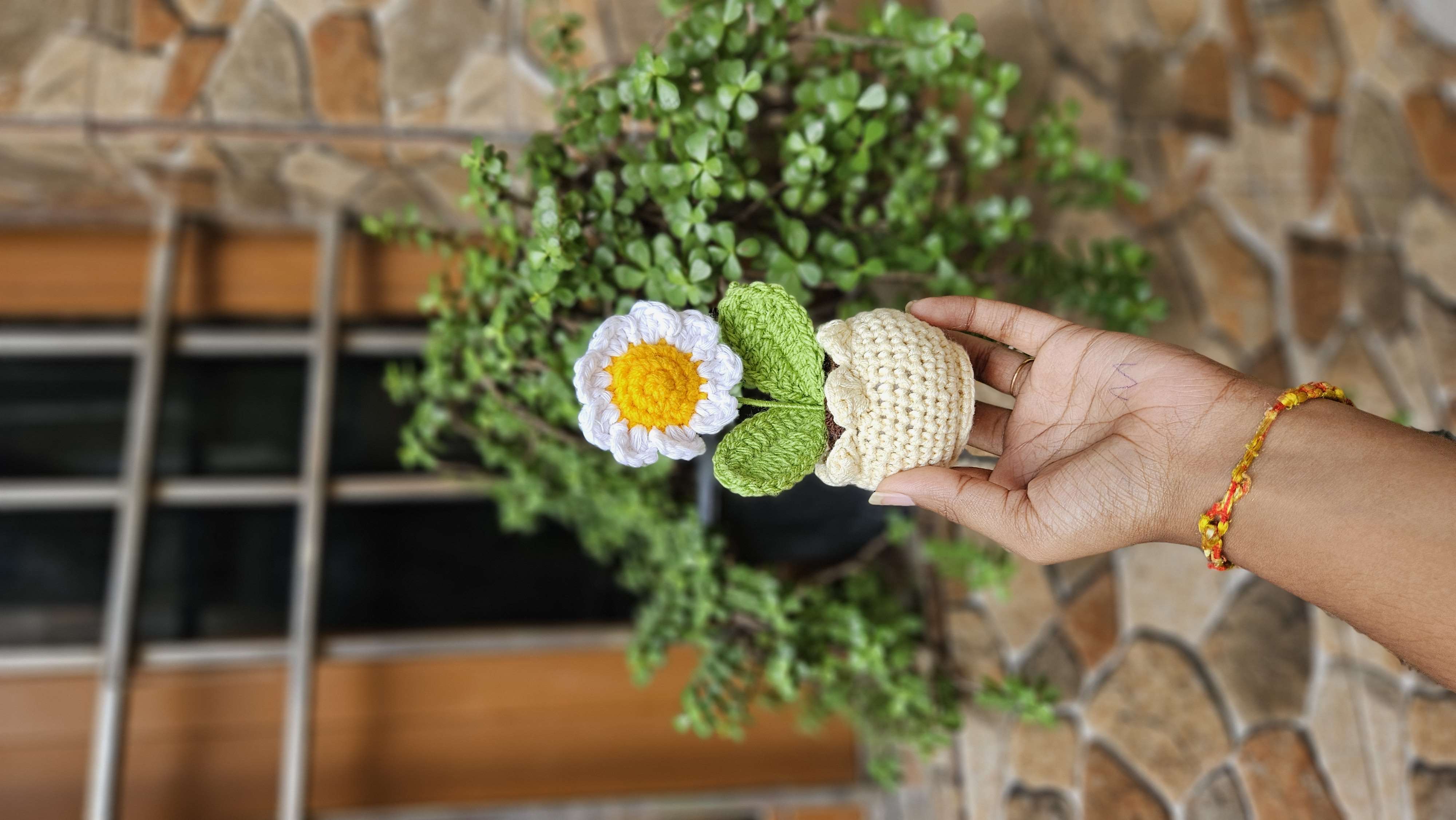 Mini White daisy pot