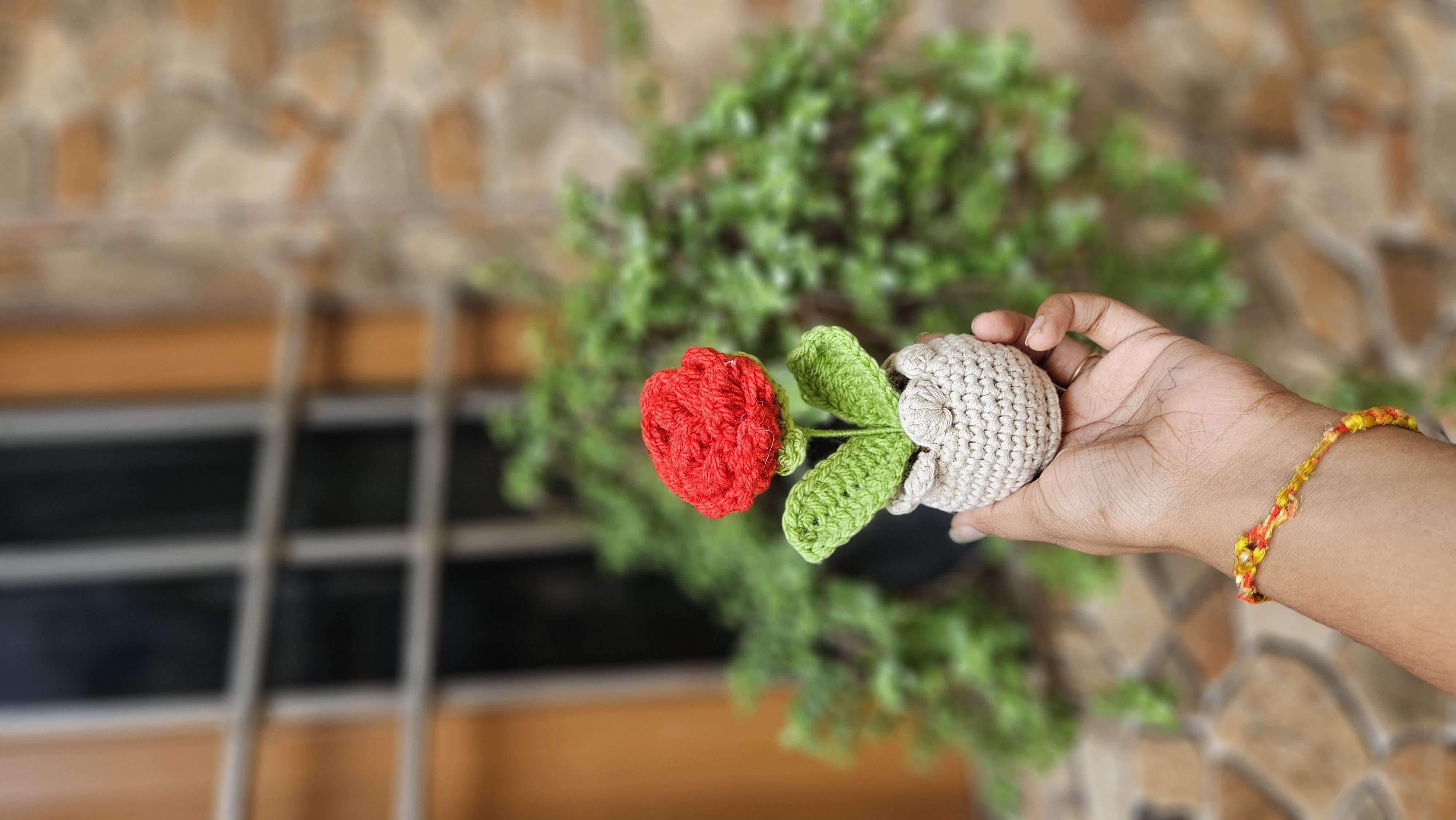 Mini red rose pot