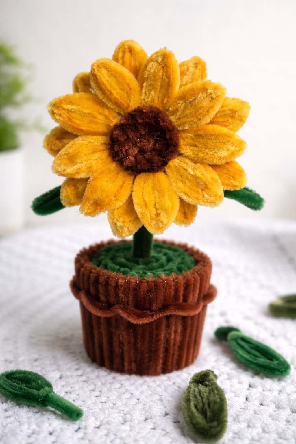 Sunflower pot