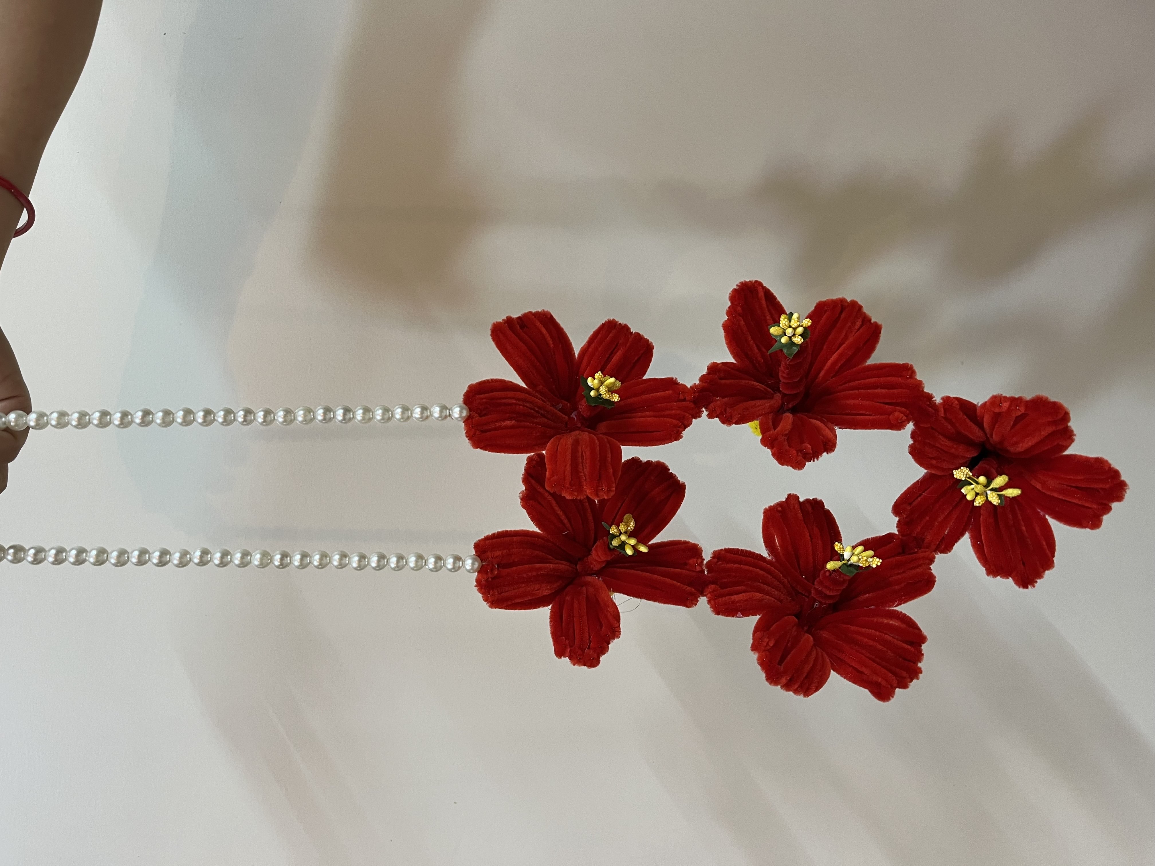 Hibiscus Mala (5 flower) image 2