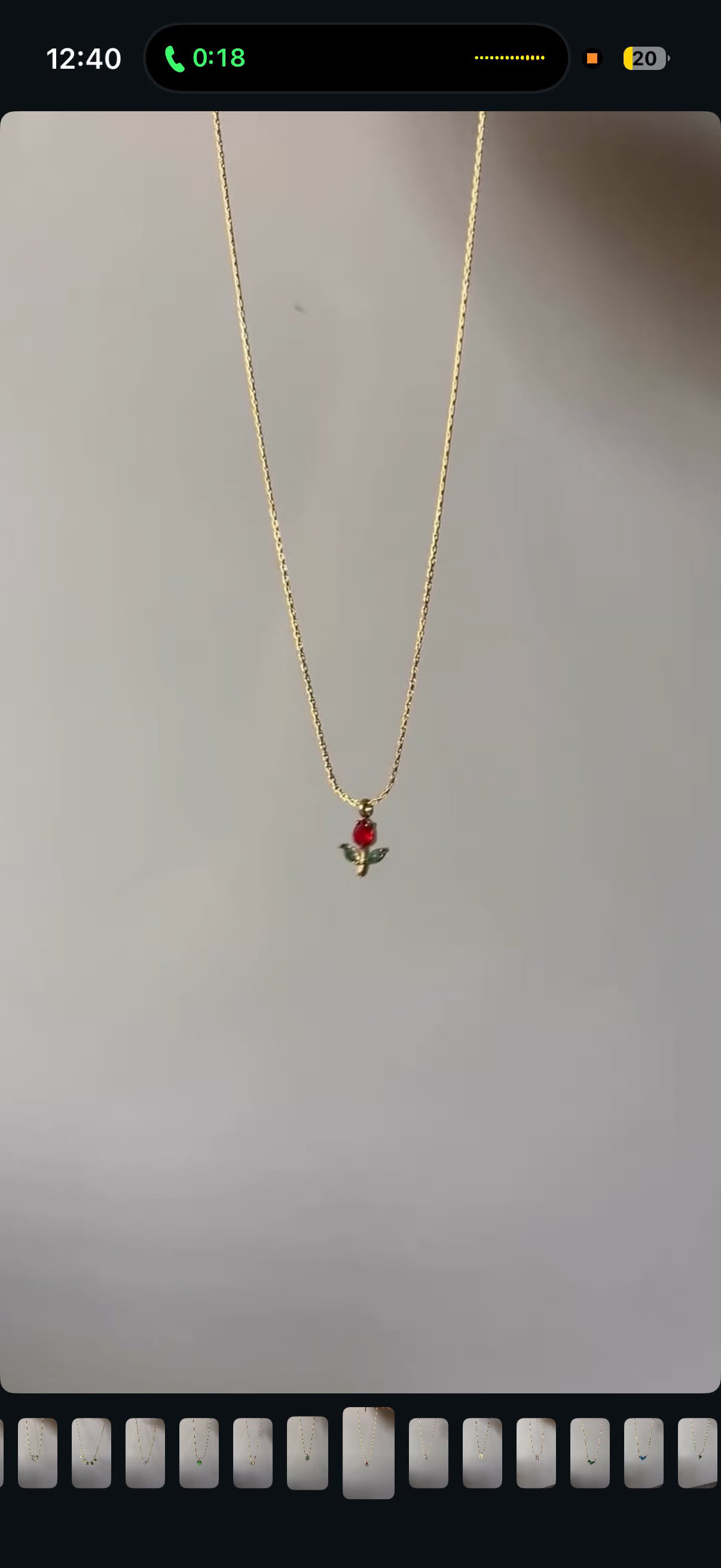 Red tulip